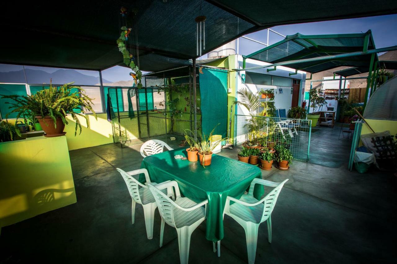 Mama Backpackers Hostel Λίμα Εξωτερικό φωτογραφία